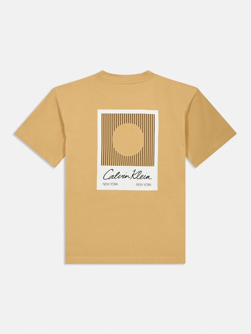 Calvin Klein Kids T-shirt ragazzo in cotone beige modello IB0IB02607T - vista alternativa 2