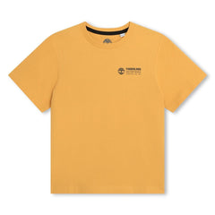033877.0451_1.jpg