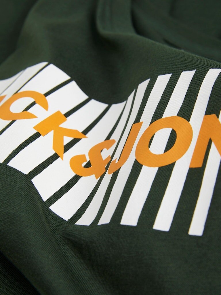 4240142_12237411_2.jpg