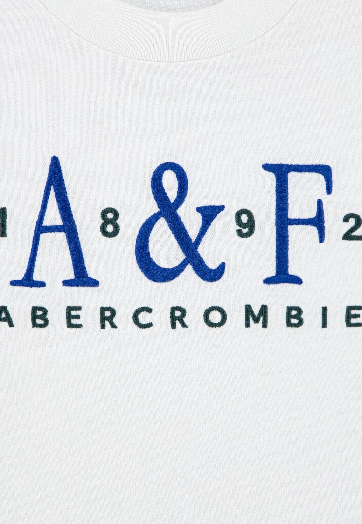 Dettaglio logo ricamato blu su t-shirt bianca in cotone Scugnizzi 0-16 ABERCROMBIE per bambino